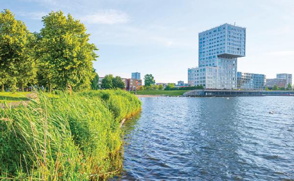 Fisheries and wetlands biologists very carefully undertook a native wetland restoration project.